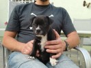 Dark Design 8 Weeks
